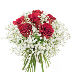 In the quiet elegance of Wanstead, this refined bouquet captures the artistry of a local florist's touch. Six deep red roses, their velvety petals so vivid they appear to glow, stand at the arrangement's heart, each one poised in beautiful, near-full bloom. The boldness of the roses is softened by a sweeping halo of feathery white baby's breath, which surrounds and highlights their passionate colour with a peaceful, airy grace-not unlike a gentle morning fog lifting over Christchurch Green. Each Gypsophila blossom adds a whisper of lightness, enhancing the romantic harmony between purity and desire. The flowers' long green stems are woven securely together, recalling the freshness and quality found at the best shops along the High Street. As the vivid reds and soft whites shimmer against the white background, the bouquet's balance of texture and colour offers the perfect way to express heartfelt emotion, mark cherished anniversaries, or add lasting beauty to special occasions in homes across Wanstead. Sensual yet understated, this arrangement is a quiet celebration of love, appreciation, and thoughtful local artistry.